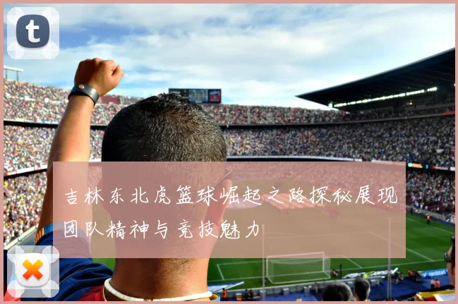 吉林东北虎篮球崛起之路探秘展现团队精神与竞技魅力