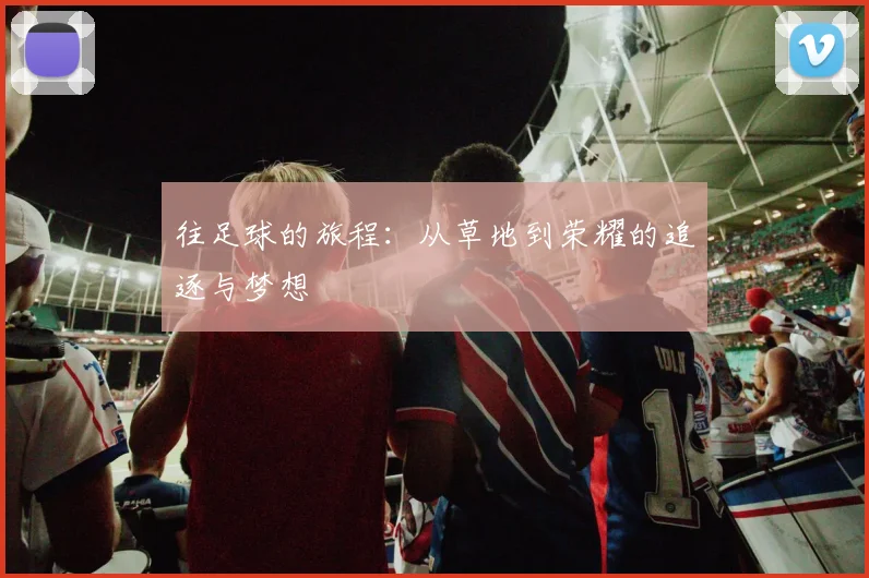 往足球的旅程：从草地到荣耀的追逐与梦想