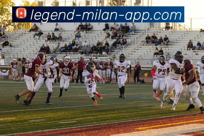 往足球的旅程：从草地到荣耀的追逐与梦想